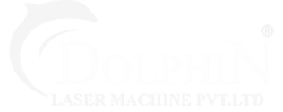 Dolphin Logo White